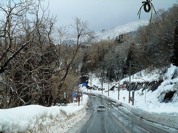 113.jpg