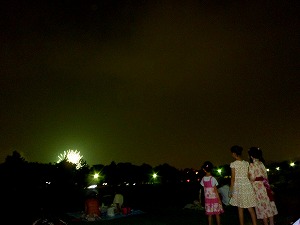 20130730f.jpg