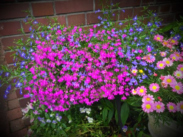 rblog-20160530191535-06.jpg