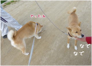 0430朝5.jpg