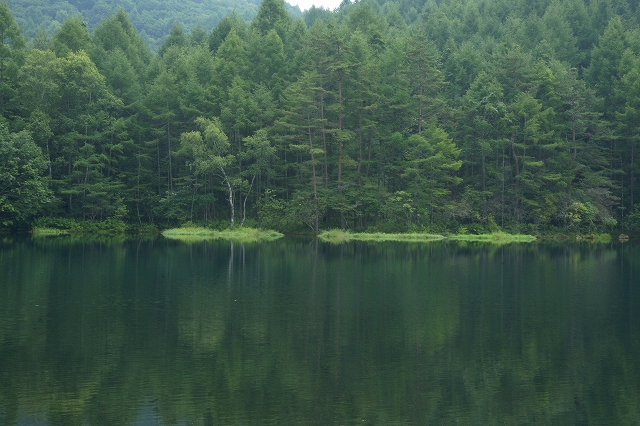 DSC03716.jpg