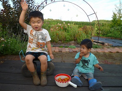 P1070923.jpg