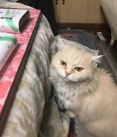 お寿司見てる.JPG