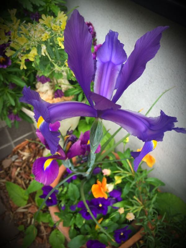 rblog-20160427174731-03.jpg