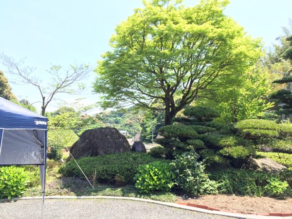 rblog-20160429165238-08.jpg