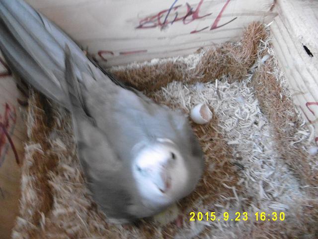P1000073.jpg