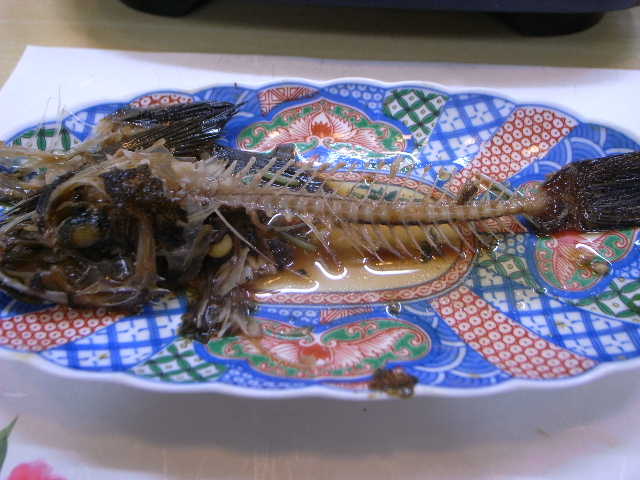 RIMG17660.JPG