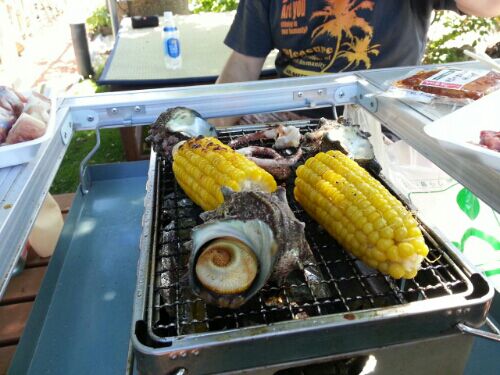 rblog-20160728154736-01.jpg