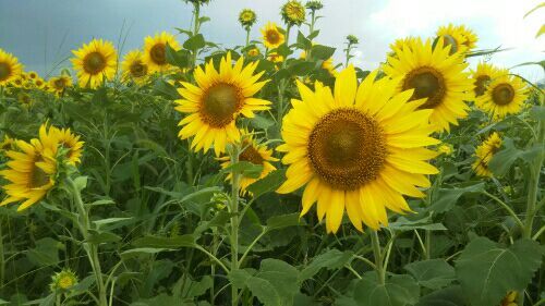 rblog-20170817175816-01.jpg