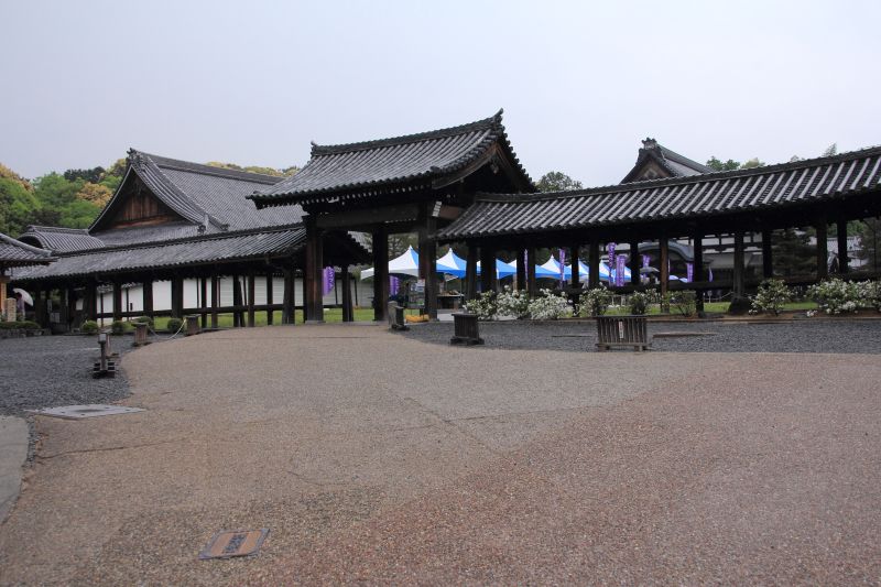 通天_002.jpg