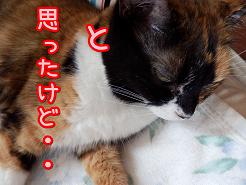 思った.JPG
