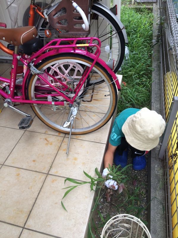 rblog-20150729000236-00.jpg