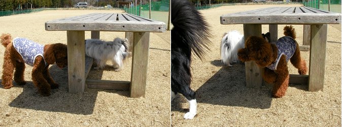 ベンチ.jpg