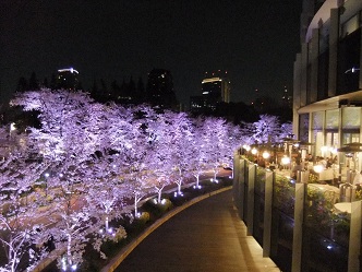 DSCF3988.JPG