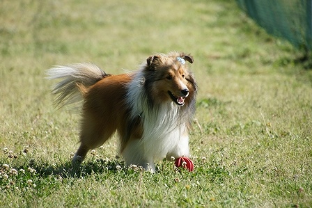 DSC02842.jpg