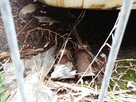 20130512_115856.jpg