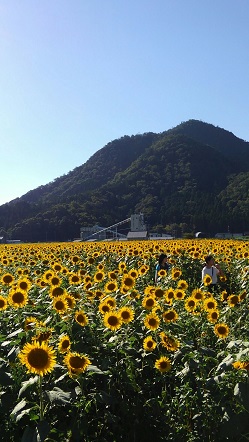 1471821711271[1].jpg
