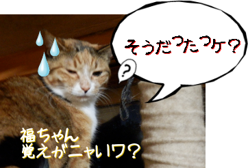 P6180025_1.png