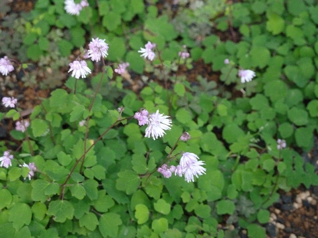 2013.6.4 006.JPG