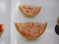 P1170160