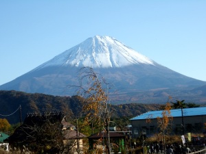 西湖いやしの里からの富士山.jpg