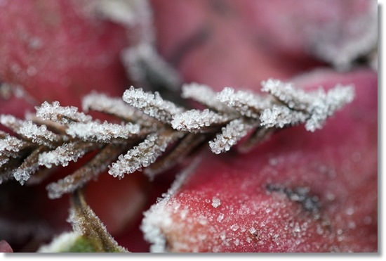 大野湊緑地公園-6 15.1.21