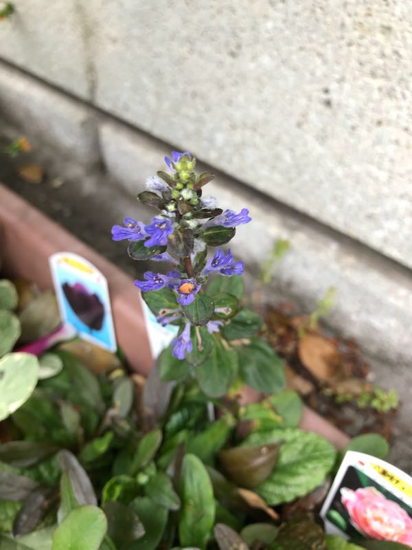 rblog-20180531150201-06.jpg