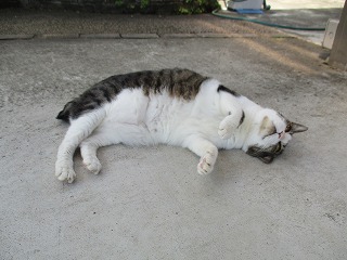 IMG_9994ss.jpg