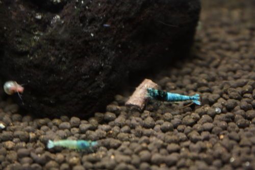 20141008b.jpg
