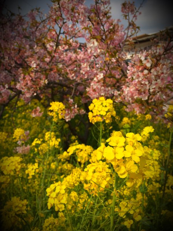 rblog-20160304153500-02.jpg