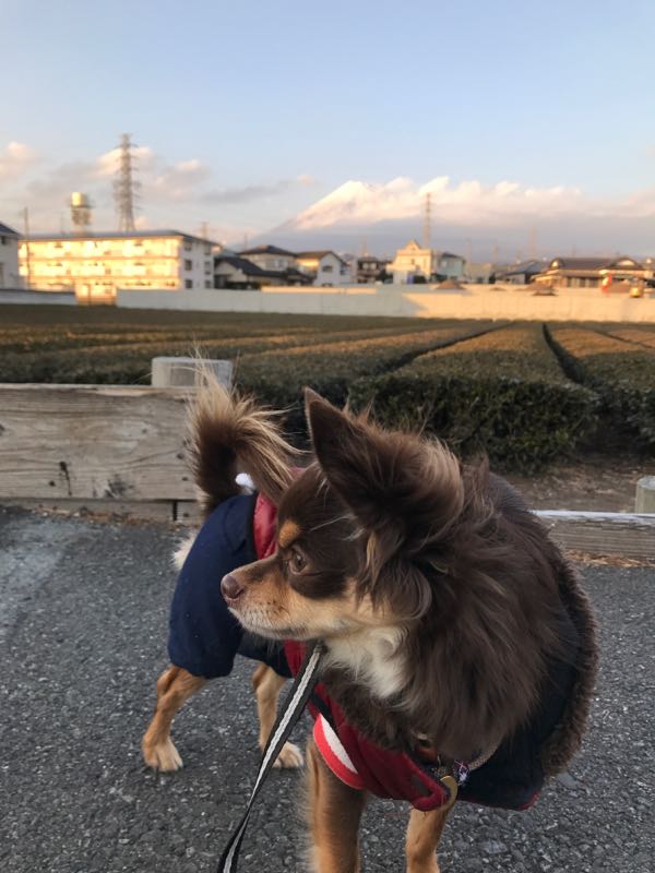 rblog-20170218194911-03.jpg