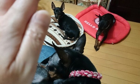 1409144224657.jpg