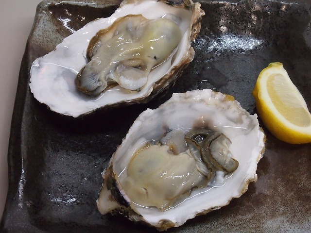 P1150004 (2).jpg