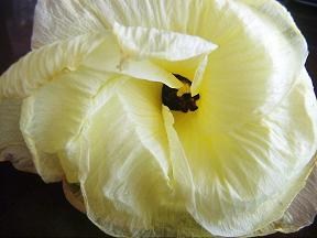 PICT0032s.JPG
