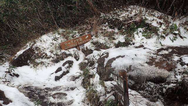 PA221569　12：10シャクナゲ岳にパーティ.jpg
