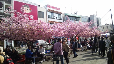 三浦海岸駅周辺