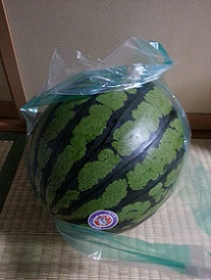 成田さんが届けてくれた (2).jpg