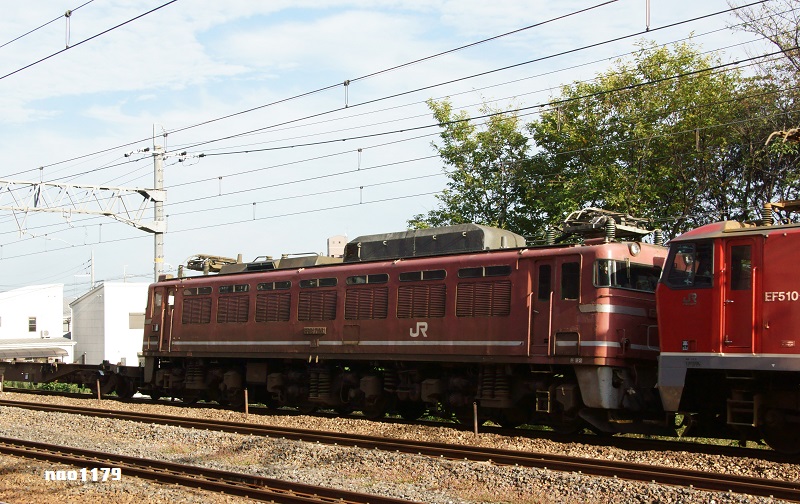 DSC_07778.jpg