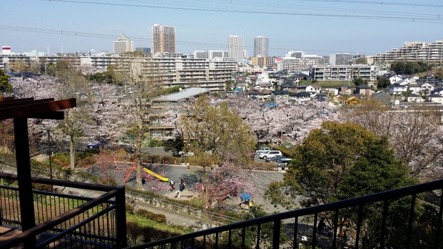 Ａ公園からの風景