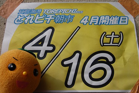 s-DSC_0584.jpg