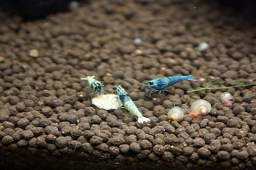 20141111d.JPG