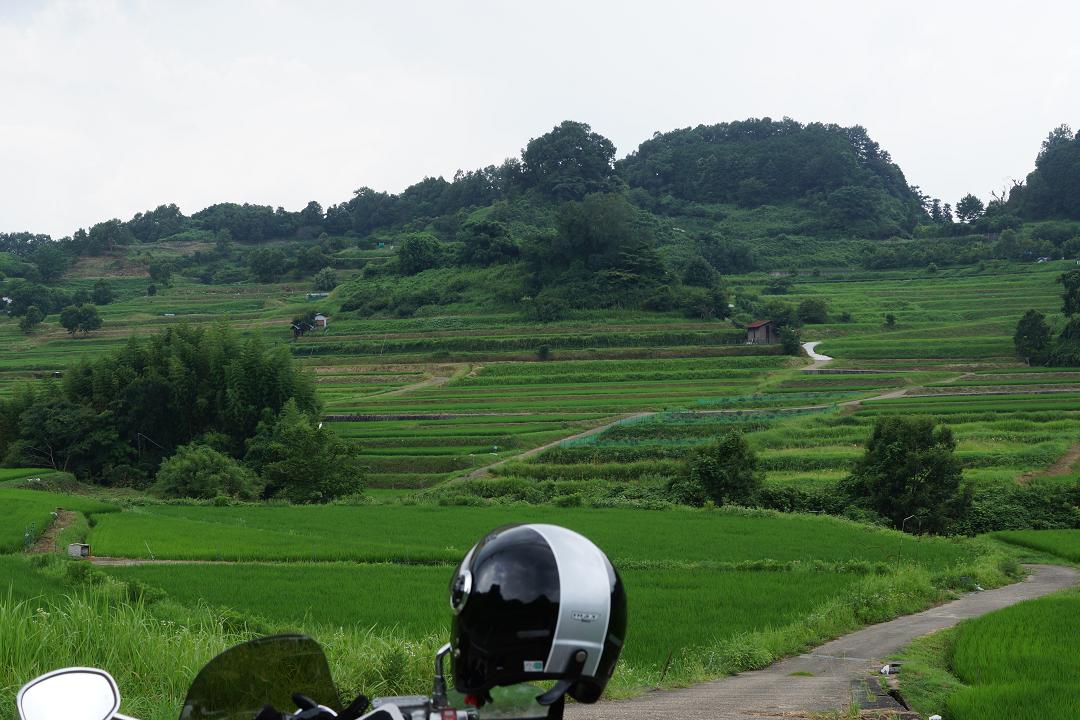 DSC08626.jpg