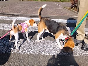 20140929クンクン