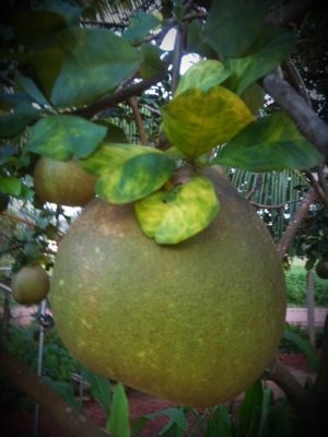 rblog-20141017174724-01.jpg
