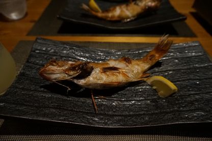 DSC00272.JPG