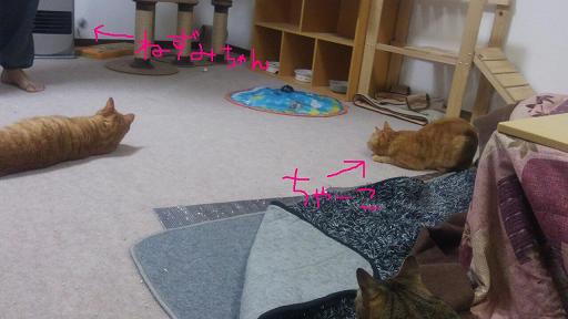 rps20130206_083534.jpg