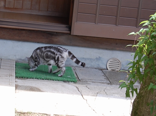 DSC_0113.JPG
