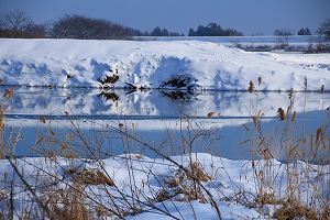 IMG_9937.jpg