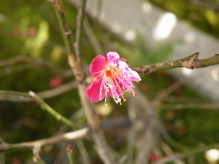 DSCF9053-p.jpg