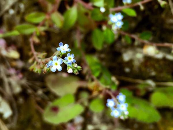 rblog-20160308114453-02.jpg